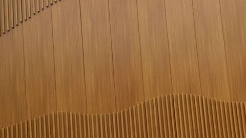 ӹʩо